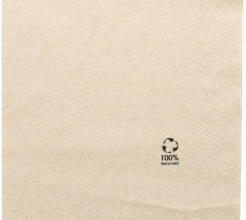 Guardanapos Ecolabel Natural 33x33cm – Folha Dupla – 100 Unidades